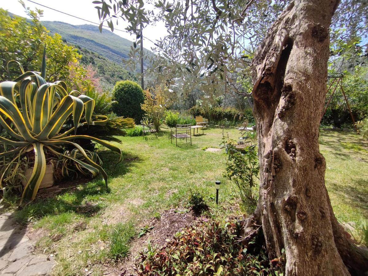 Apartamento Casa Di Nin Torbole Sul Garda Exterior foto