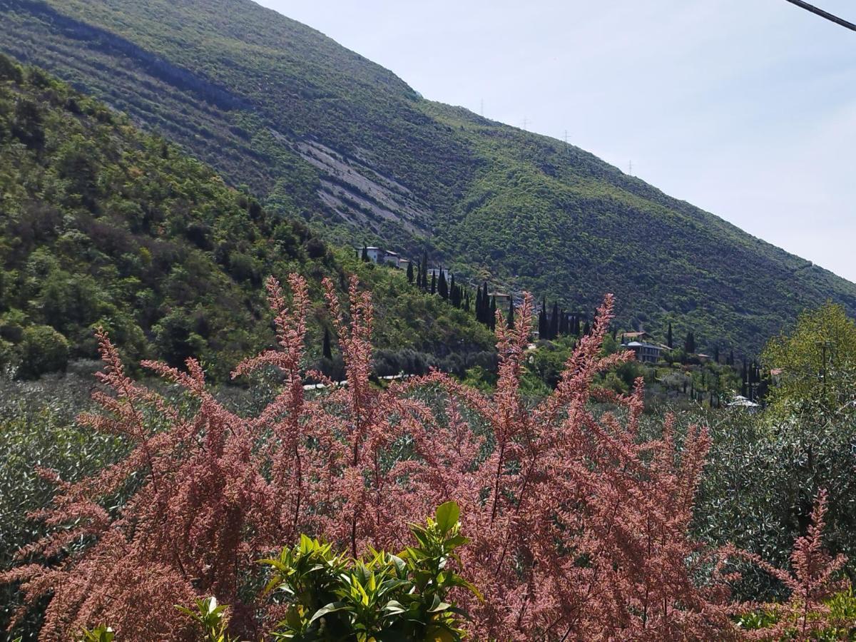 Apartamento Casa Di Nin Torbole Sul Garda Exterior foto