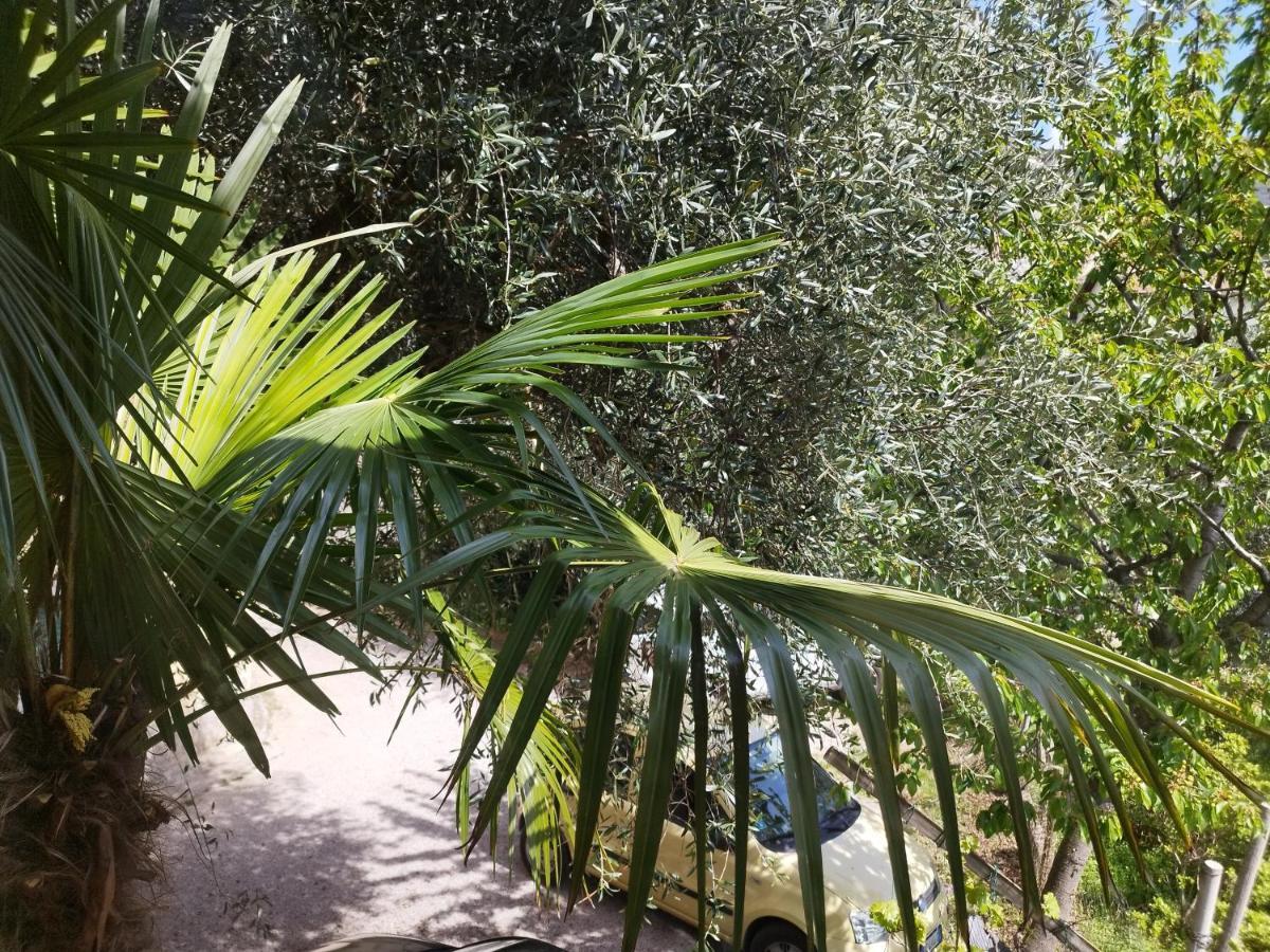 Apartamento Casa Di Nin Torbole Sul Garda Exterior foto