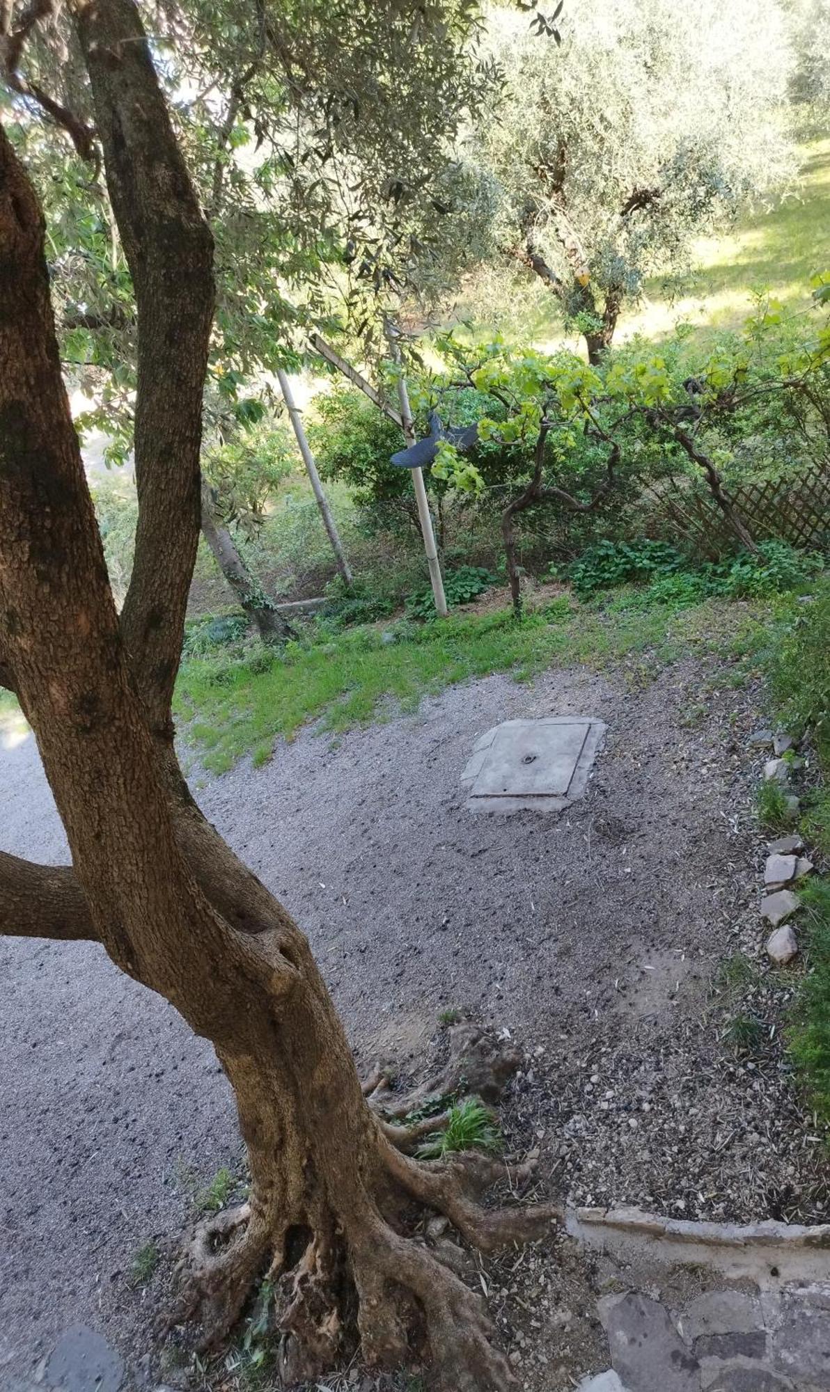 Apartamento Casa Di Nin Torbole Sul Garda Exterior foto